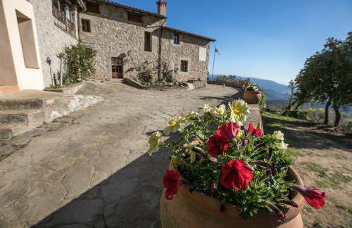 El Buxaus de la Muntanya - Foto 23