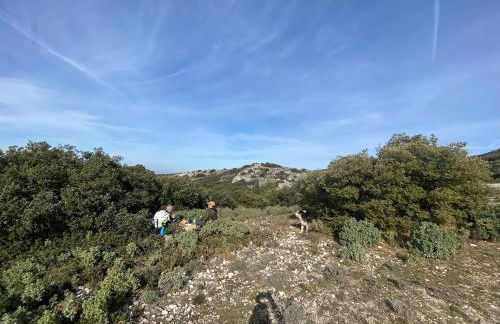 Vacances face au Luberon - Foto 33