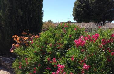 Podere La Castellina - Foto 50