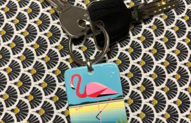 Les Flamants Roses La Capte T2 4 personnes 200m de la plage - Foto 15