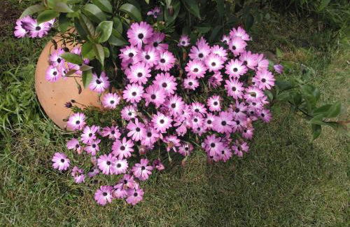 Casa Rural El Arroyo - Foto 71