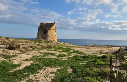 Casa Vacanza GLI ULIVI - Foto 11