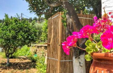 The Walnut Tree - Cycladic Getaway by Explore Andros - Photo 16