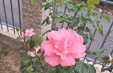 Traditional Stone House-Ideal for families - Foto 6