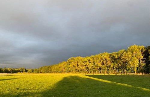 The Studio at Bluebell Barn - Foto 10