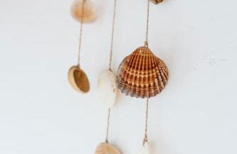 Tortuga blue house in banana plantation - Foto 18