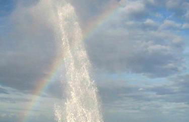 Apartamentos San Jorge - Foto 31