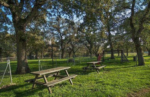 Villa Paolija - Foto 51