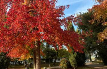 PAGANINI suites and apartments - Foto 75