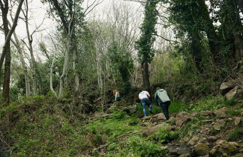 Hanami House Boutique 4 Estrellas Valle del Jerte - Foto 6