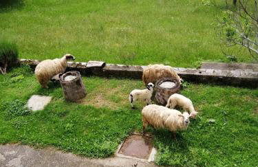 Apartman Duba - Foto 33