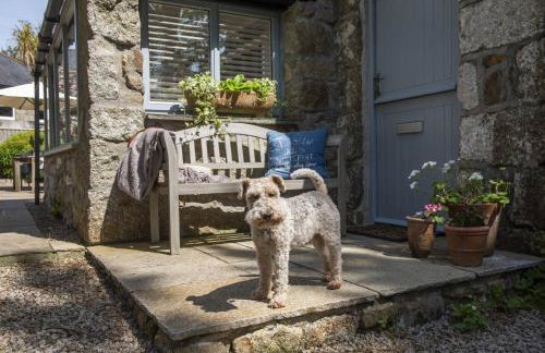 Rosehendra - Foto 31