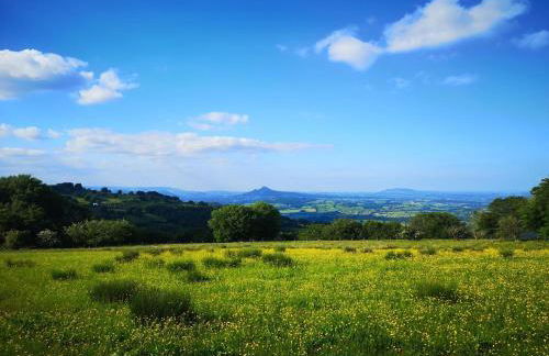 4 Bed in Abergavenny oc-88014 - Foto 35