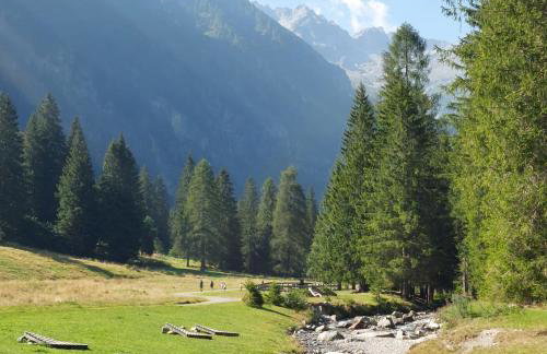 Casa Roby - Marilleva 1400 in Val di Sole - Photo 11