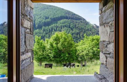 El Bait in Incudine With 2 Bedrooms and 1 Bathrooms - Foto 13