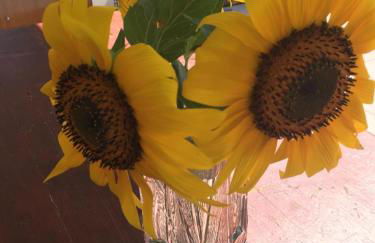 Casa Francesco - Foto 19