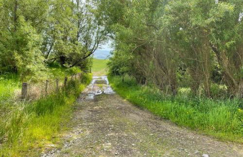 Gorgeous boutique off-grid cottage near Peebles - Foto 50