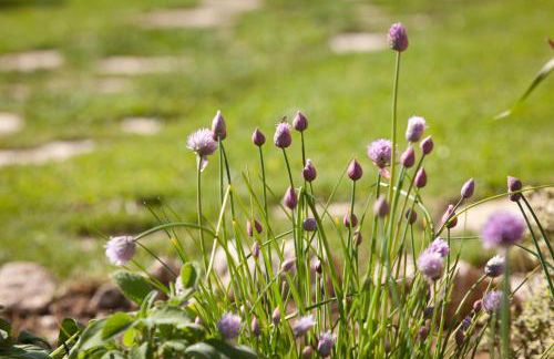 Relais Parco Del Subasio - Photo 64