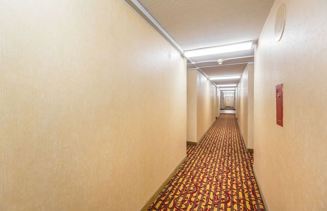 Toronto Furnished Living - Gerard St. E - Foto 40