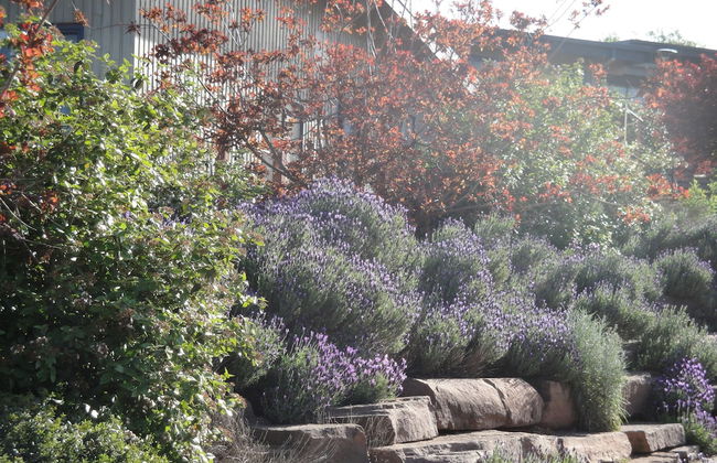 Delatite Apartments Merrijig - Foto 32