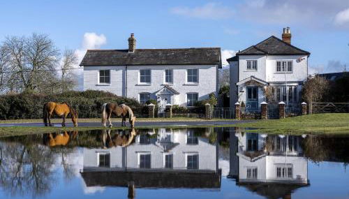 Hatchet Pond Cottage - Foto 1