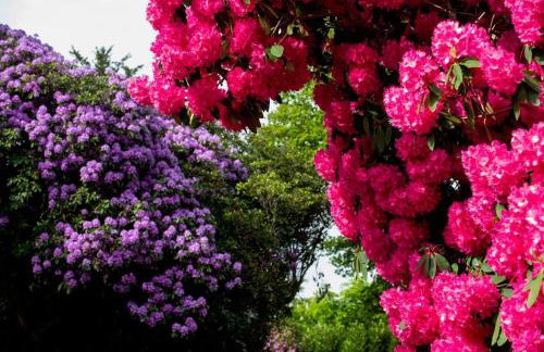 Gorgeous English Country Barn - Foto 22