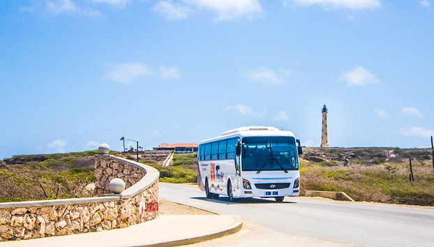 Os grandes destaques de Aruba - Foto 3