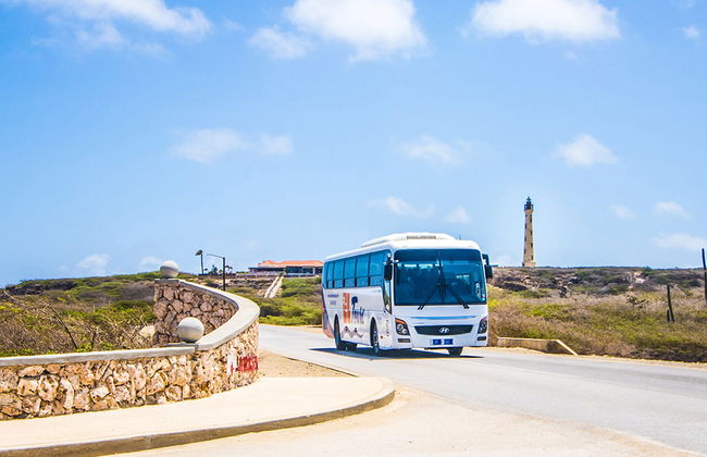 Tour dei punti salienti di Aruba - Foto 3