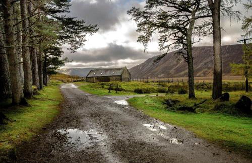 Osprey Apartment - Foto 45