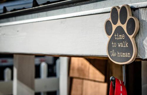 Downtown | Gorgeous | Pet Friendly! - Photo 6