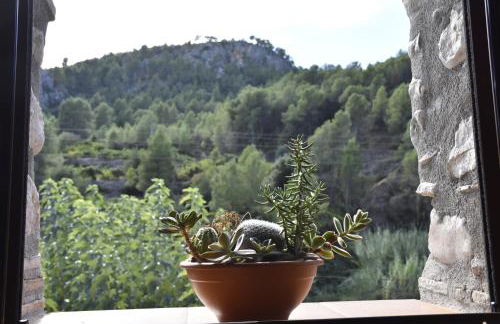 El Molinet del Governador- Apartamentos Rurales - Photo 55