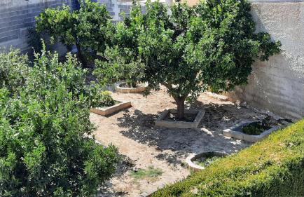 Georgia's Village House - Foto 31