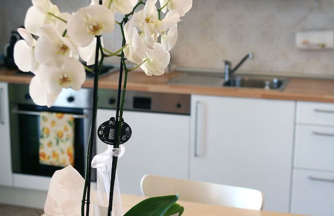 Apartments "and Ciclamini" in Moniga del Garda - Photo 6