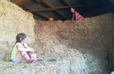 Hanslbauernhof - Foto 7