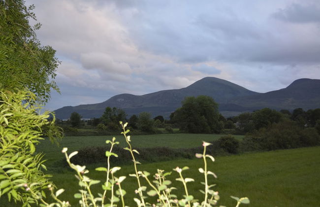 Ballyginny Cottage - Foto 35