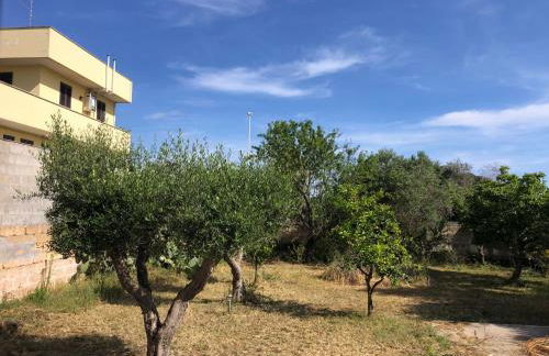 Relax Torre lapillo - Foto 28