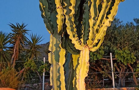 Luxurious Villa Tholos Crete - Photo 12