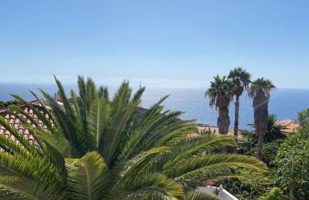 El Paraíso - Foto 17