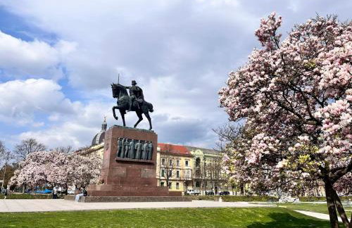 Apartman Jedro - Photo 33