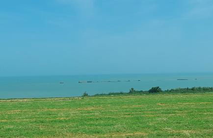 La Bourgandie - Foto 25