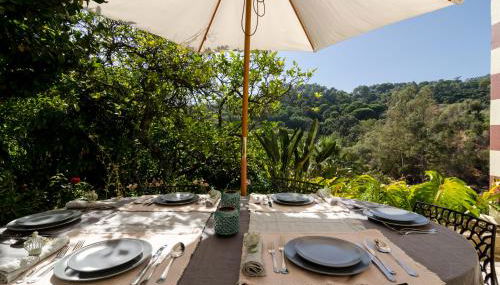 Chalet Monchique - Foto 4, Garden, Garden view