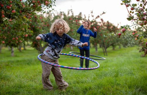 Dragon Orchard Retreat - Foto 34