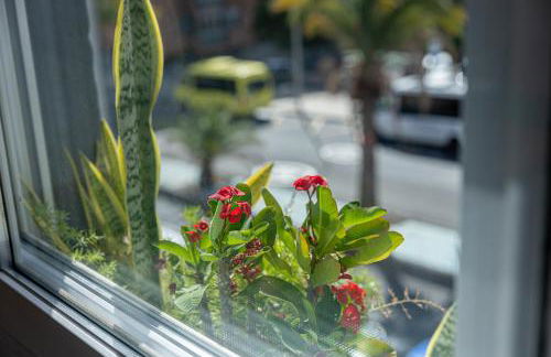 Bambú Suites Vegueta Alquiler por Habitación - Foto 52