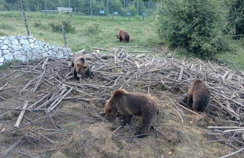 Kuća za odmor Dangubica - Photo 25