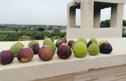 il borghetto in valle d'itria - Foto 57