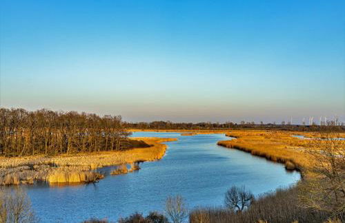 Hausboot auf der Peene, Demmin - Foto 13