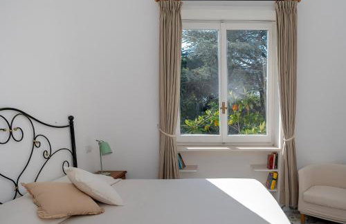 Villa Pineta - Holiday House - Photo 20