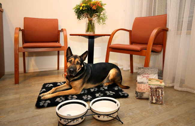 Andel Apartments Praha - Foto 38