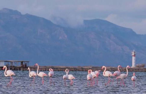 Casa2patis - Foto 44