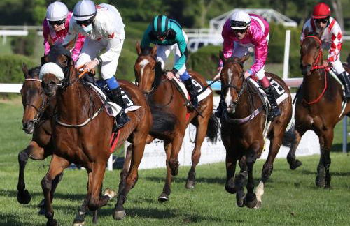 Coeur Deauville Grand 3 pièces avec Parking - Photo 27